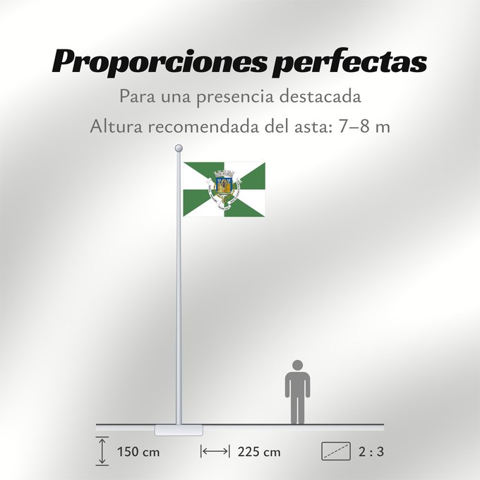 Proporciones de la bandera: Porto