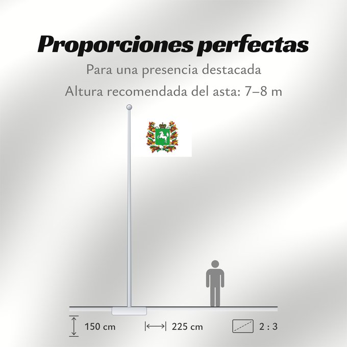 Proporciones de la bandera: Tomskaya oblast'