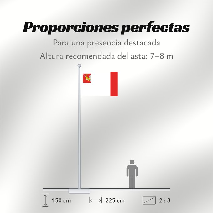 Proporciones de la bandera: Vologda Oblast	Vologda Oblast 	Oblast de Vologda	Óblast de Vólogda	Oblast Wologda