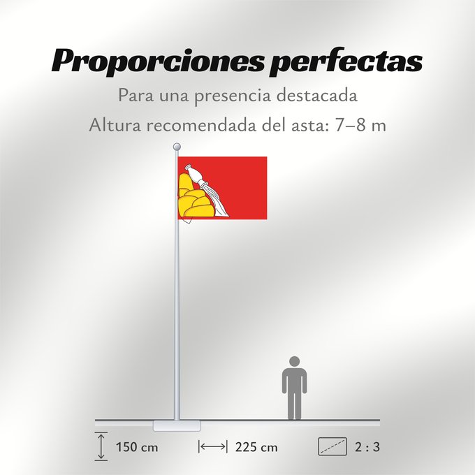Proporciones de la bandera: Voronezh Oblast Voronezh Oblast of Russia Oblast de Voronej Óblast de Vorónezh Oblast Woronesch Флаг Воронежской области Россия Прапор Воронезької області Росія