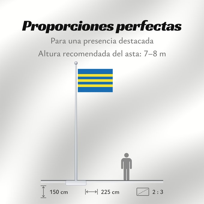 Proporciones de la bandera: Trnavsky vlajka	Trnava Region	Région de Trnava	Región de Trnava	Trnava	Trnava Regione