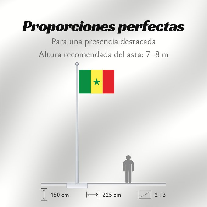 Proporciones de la bandera: Senegal	Sénégal	Senegalo	پرچم سنگال	Senegala