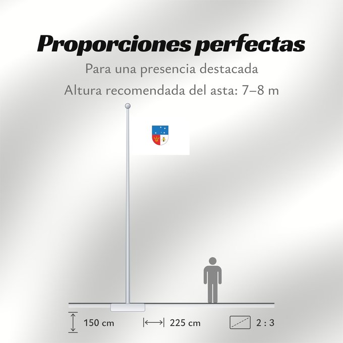 Proporciones de la bandera: Colonia Department Colonia département de Colonia