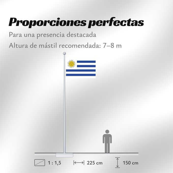 Proporciones de la bandera: Uruguay	L Uruguay	Dell Uruguay	Uruguai	Urugwaju	D Uruguai	علم أوروغواي	D Uruguay	Uruwayi wiphala	L Uruguai	Urugvajo	Uruguaiko bandera	E Uruguai	Poyvi Uruguái	Irigwe	ウルグアイの国旗	Pāmitl Uruguay	Uruwayi unanchan	Флаг Уругвая	Urugvaja	Uruguays