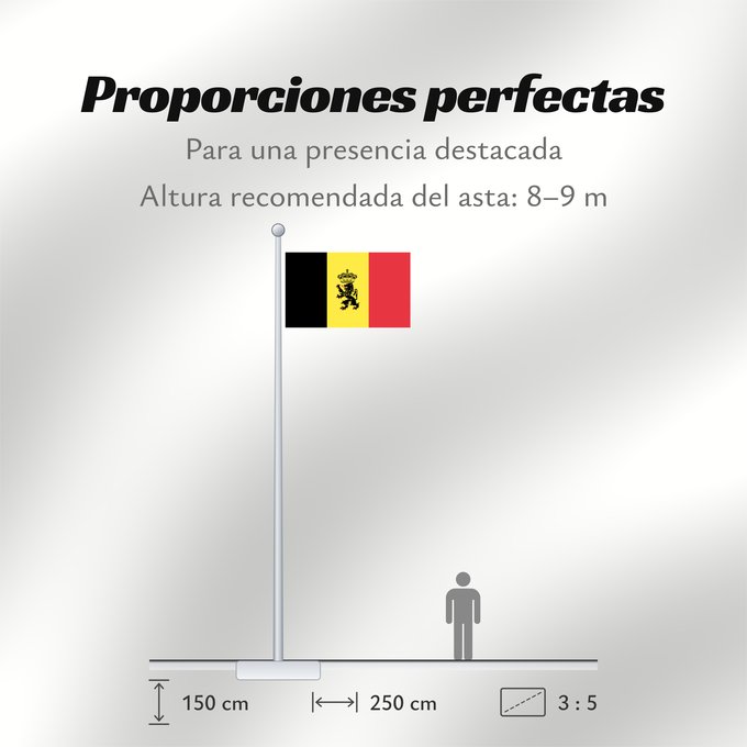 Proporciones de la bandera: Belgium  civil	Belgium	Belgique	Bélgica	Belgien	Belgio