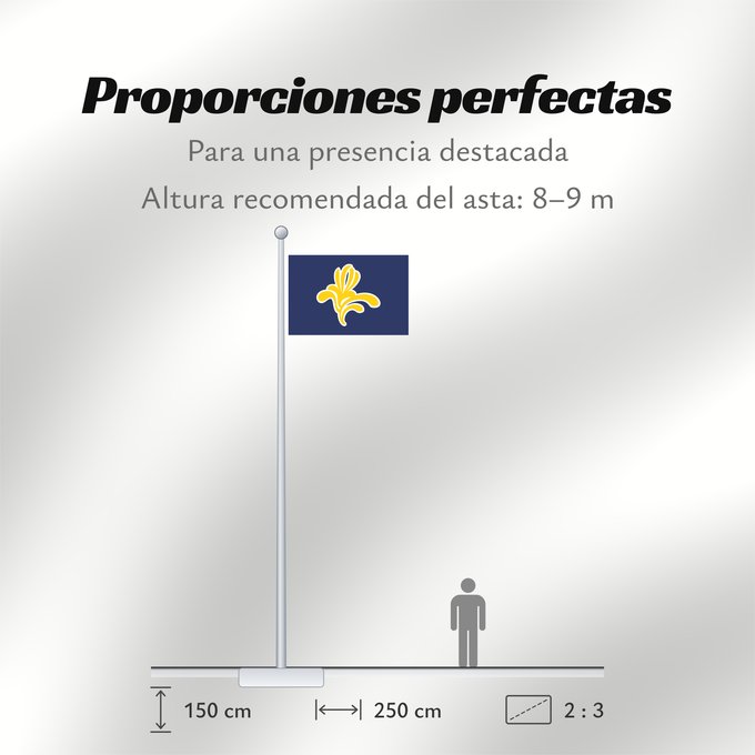 Proporciones de la bandera: Brussels-Capital Region 1991–2015 Brussels-Capital Region between 1991 and 2015 Brüssel Bruselas Bruxelles Fändel vun der Haaptstadregioun Bréissel Прапор Брюсселю