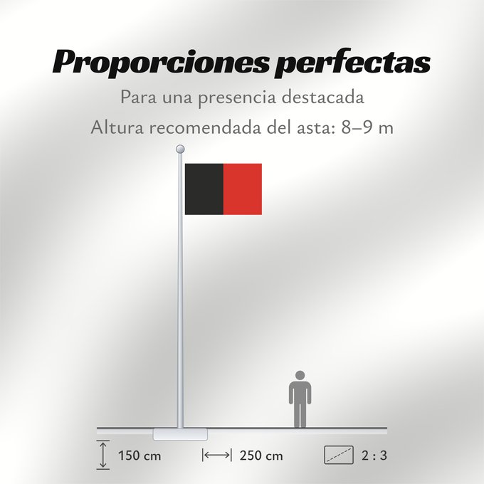 Proporciones de la bandera: Namur Province	Namur	Shows the flag of the province of Namur in Belgium