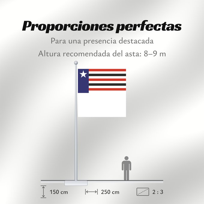 Proporciones de la bandera: Maranhão
