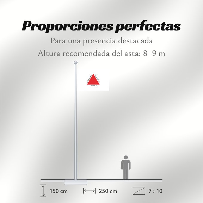 Proporciones de la bandera: Minas Gerais	Brazilian state of Minas Gerais is based on state law 2793 from 8 January 1963, which describes the flag as follows In the centre of a white rectangle in the format 20 units by 14 units is a red equilateral triangle with a side length of 8 un