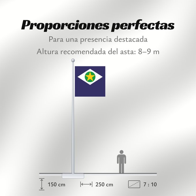 Proporciones de la bandera: Mato Grosso	State of Mato Grosso, Brazil	Mato Grueso	Mato Grosso, Brasil
