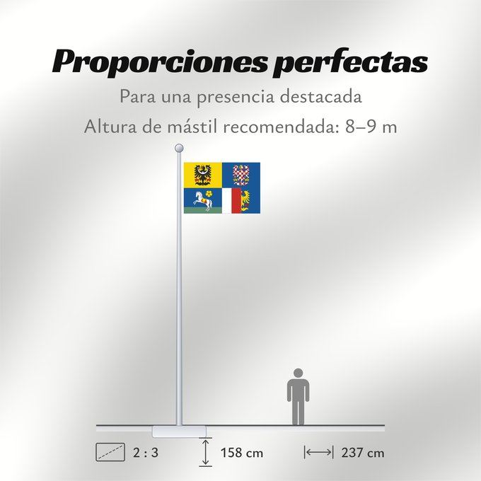 Proporciones de la bandera: Moravian-Silesian Region	Région de Moravie-Silésie	Región de Moravia-Silesia	Moravian-Silesian	Moravskoslezského kraje čtvrcený list v horním žerďovém žlutém poli slezská orlice v dolním žerďovém modrém poli na zeleném trávníku