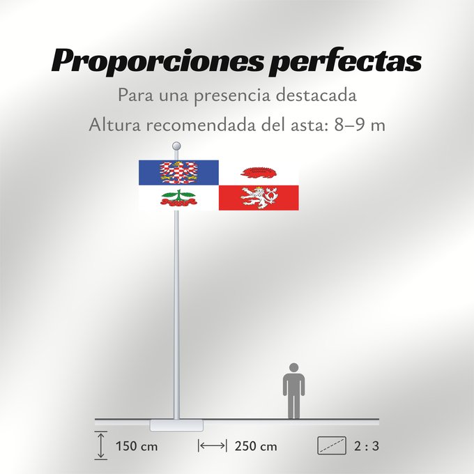 Proporciones de la bandera: Vysocina Region	Vysočina Region	Région de Vysočina	Región de Vysočina	Region Vysočina