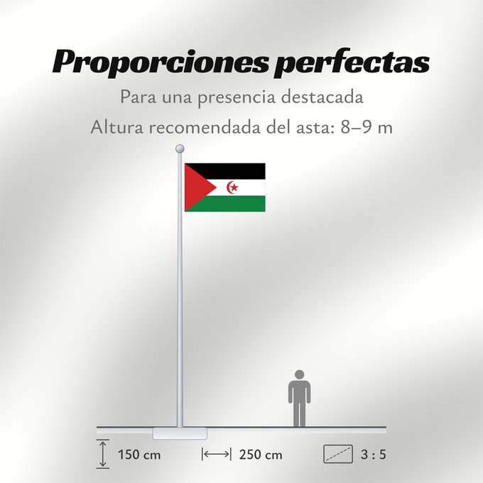 Proporciones de la bandera: Sahrawi Arab Democratic Republic Western Sahara République arabe sahraouie démocratique República Árabe Saharaui Democrática Demokratischen Arabischen Republik Sahara Repubblica Democratica Araba Sahrawi Arabische Democratische Republiek Sahara República