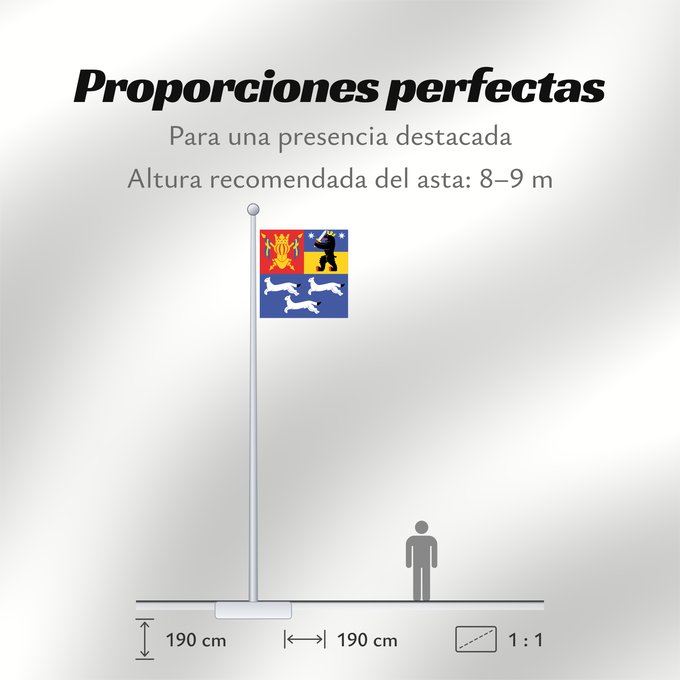 Proporciones de la bandera: Länsi-Suomen lääni