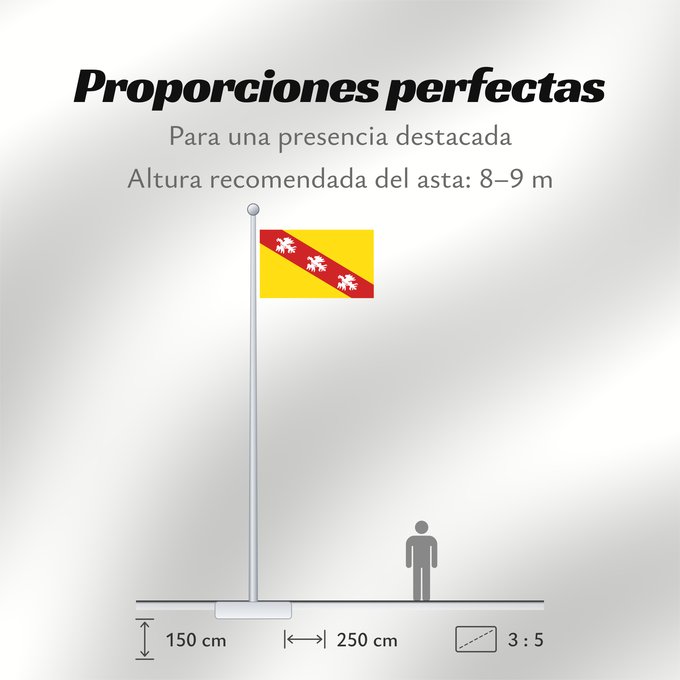 Proporciones de la bandera: Lorraine Region Lorraine in France Région Lorraine en France Lorena Lorena