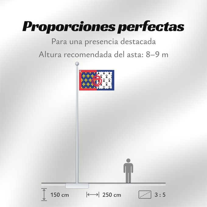 Proporciones de la bandera: Unofficial flag of Pays-de-la-Loire	Unofficial flag of the region Pays-de-la-Loire in France	Non officiel de la région Pays-de-la-Loire	Países del Loira	Pays de la Loire	Los Païses de Léger