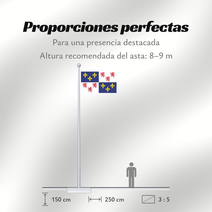 Proporciones de la bandera: Picardie Region Picardie in France Région Picardie en France Picardo Picard