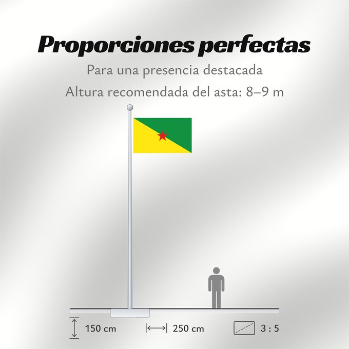 Proporciones de la bandera: French Guiana	Guyane	Guayana Francesa	Französisch-Guayana	Guyana Francese