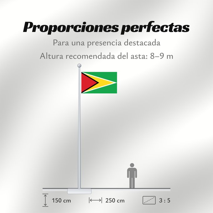 Proporciones de la bandera: Guyana	Guiana	Wayana wiphala	Gujano	Gwayana	Wayana unancha	Флаг Гайаны	Guyanas	Quốc kỳ Guyana