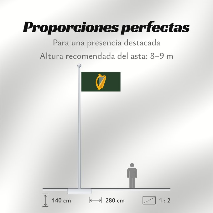 Proporciones de la bandera: Leinster	W Leinster