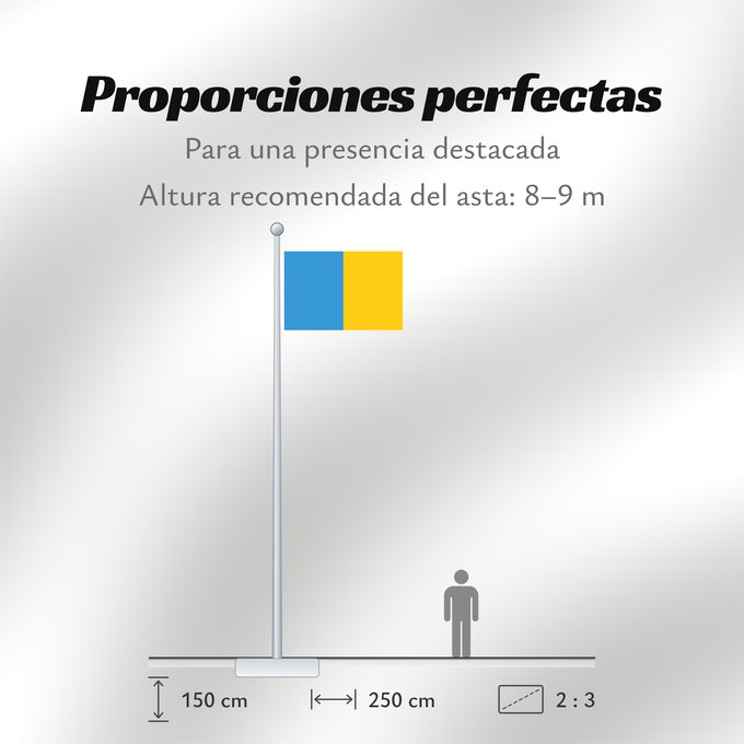 Proporciones de la bandera: Province of Udine Province d'Udine Provincia de Udine Provinz Udine Provincia di Udine