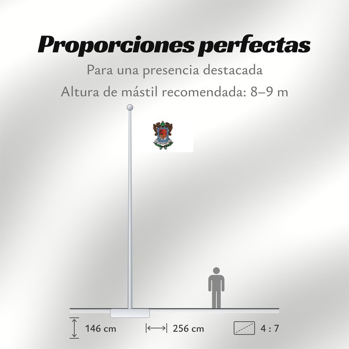 Proporciones de la bandera: Michoacan	Michoacán