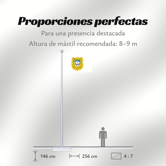 Proporciones de la bandera: Zacatecas	Zacatecas 