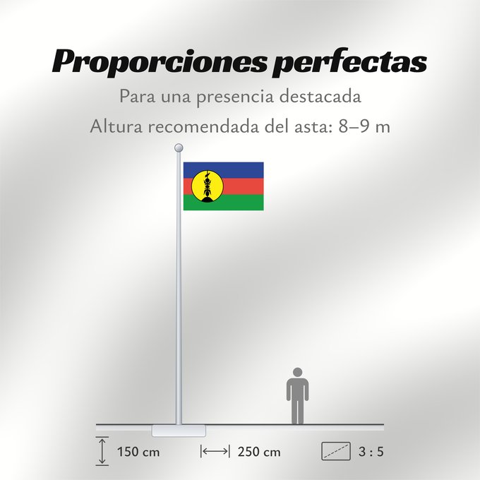 Proporciones de la bandera: FLNKS	Kanak and Socialist National Liberation Front political party	Front de libération nationale kanak et socialiste	Colores Pantone http //www	Neukaledonien	Nuova Caledonia	Front d Alliberament Nacional Canac Socialista