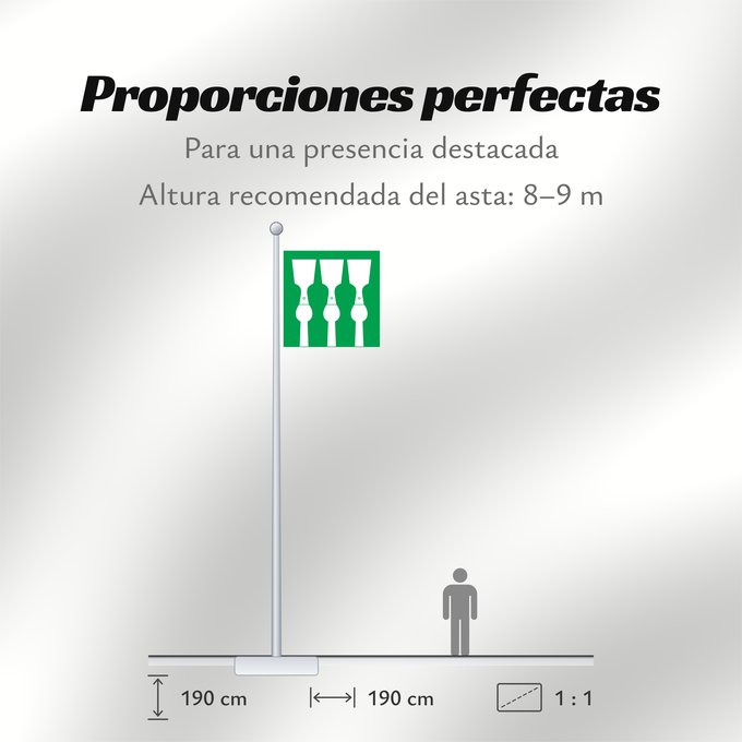 Proporciones de la bandera: Hedmark	Former county of Hedmark, Norway	comté de Hedmark
