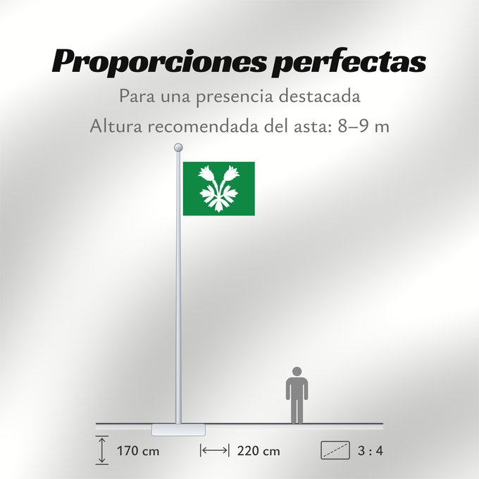 Proporciones de la bandera: Oppland	Former county of Oppland, Norway	comté d’Oppland