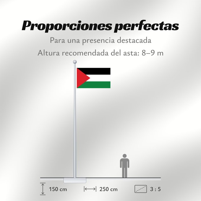 Proporciones de la bandera: Palestine	State of Palestine	L’État de Palestine	Estado de Palestina	Palästina	Palestina	علم فلسطين	ফিলিস্তিনের পতাকা	Palestino	Dari Negara Palestina	Флаг Государства Палестина