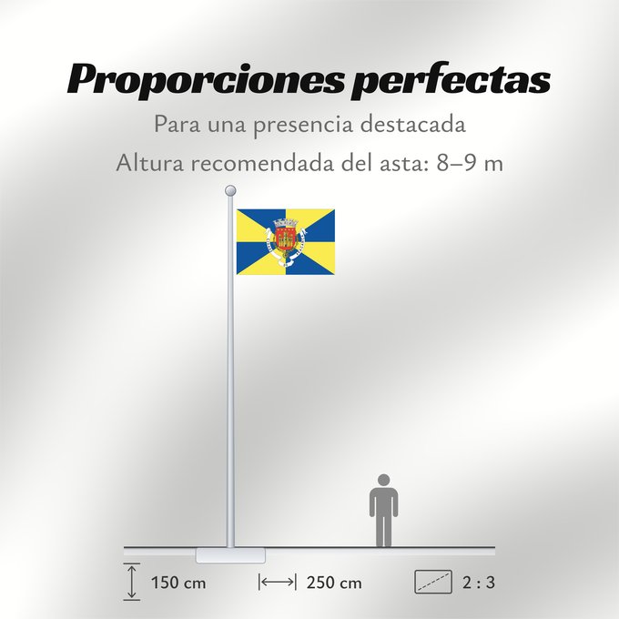 Proporciones de la bandera: Bragança