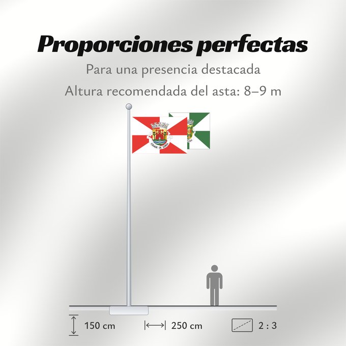 Proporciones de la bandera: Leiria