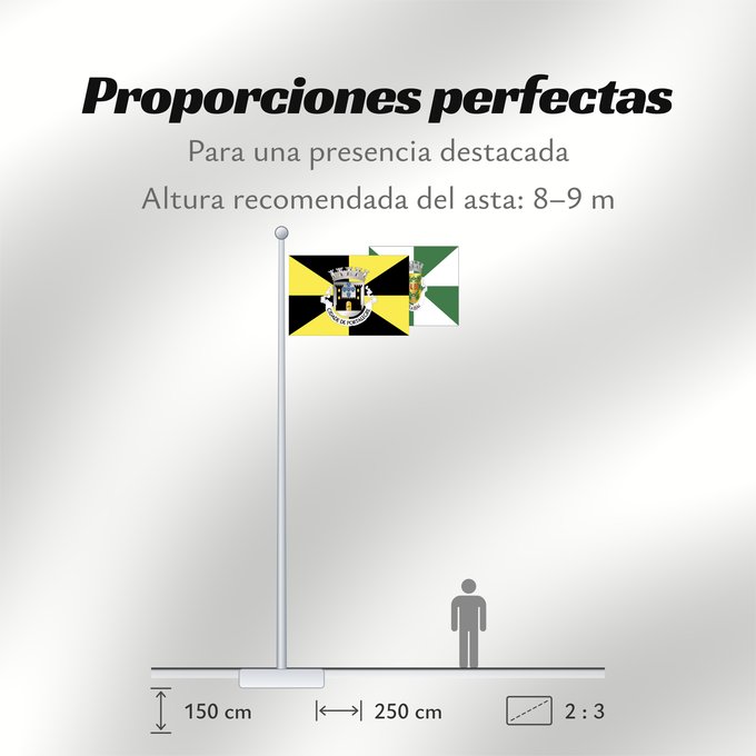 Proporciones de la bandera: Portalegre