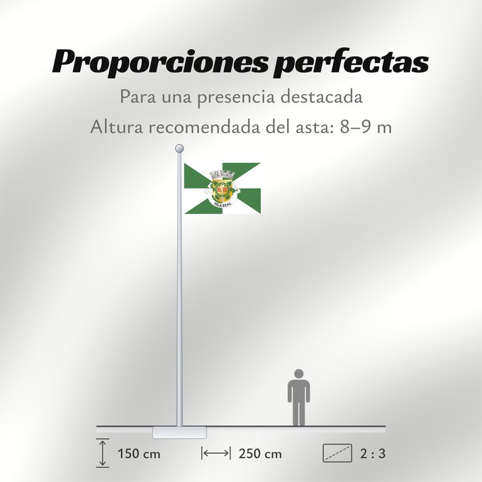 Proporciones de la bandera: Vila Real