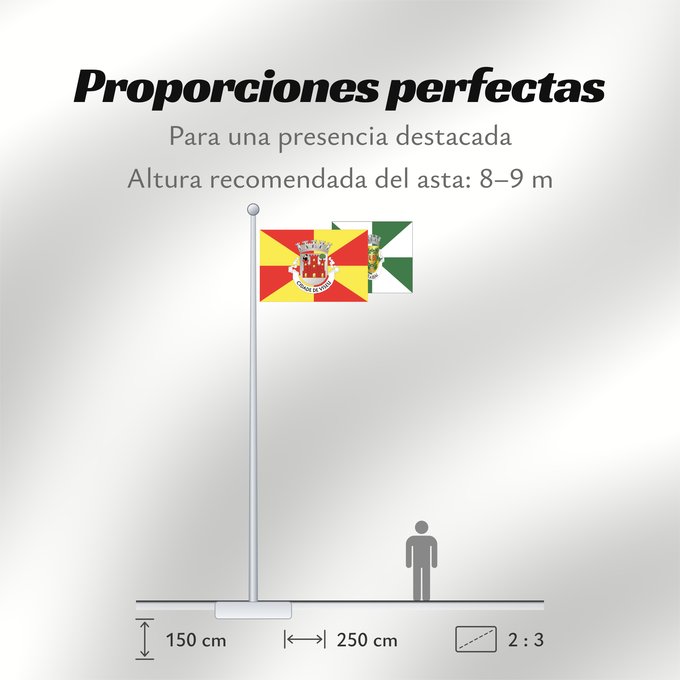 Proporciones de la bandera: Viseu