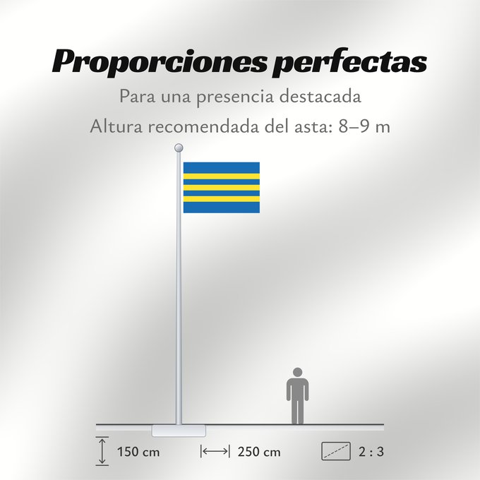 Proporciones de la bandera: Trnavsky vlajka	Trnava Region	Région de Trnava	Región de Trnava	Trnava	Trnava Regione