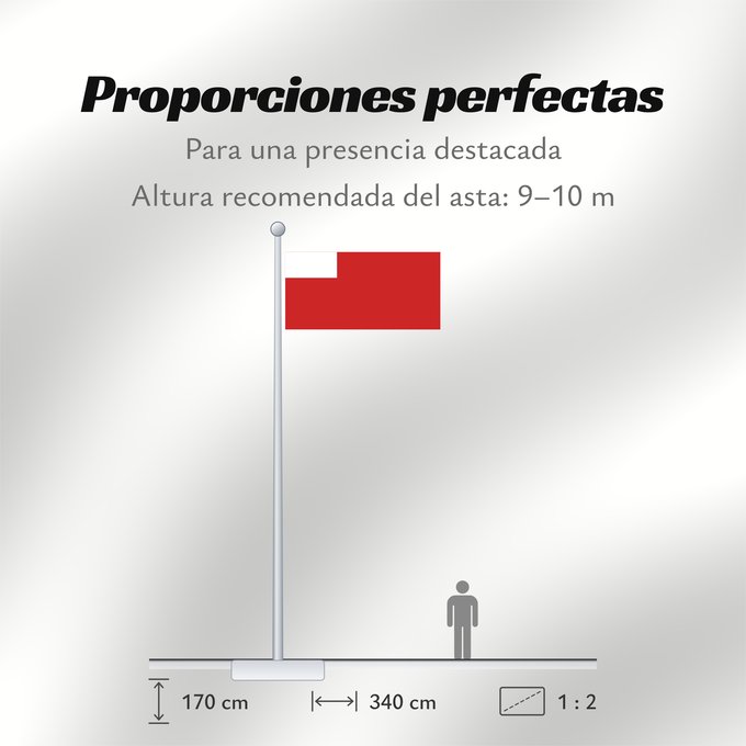 Proporciones de la bandera: Abu Dhabi	D Abou Dabi	علم أبو ظبي	Abu Dabi	Прапор Абу-Дабі