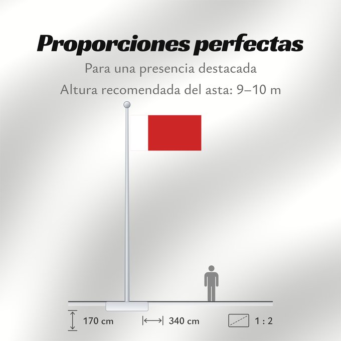Proporciones de la bandera: Dubai	Dubaï