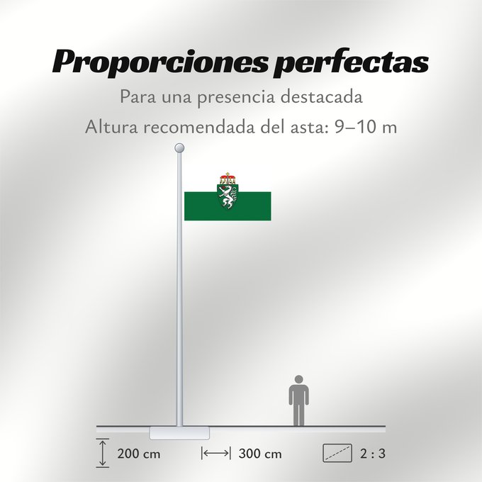 Proporciones de la bandera: Styria	White-green. Colours of the state of Styria	Styrie	Estiria	Weiß-grün. Landesfarben der Steiermark	Stiria