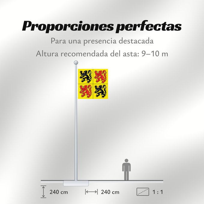 Proporciones de la bandera: Hainaut	Hainaut, province de la Belgique	Henao	Hennegaus, belgische Provinz	Henegouwen, provincie van België