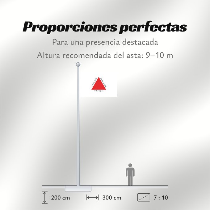 Proporciones de la bandera: Minas Gerais	Brazilian state of Minas Gerais is based on state law 2793 from 8 January 1963, which describes the flag as follows In the centre of a white rectangle in the format 20 units by 14 units is a red equilateral triangle with a side length of 8 un