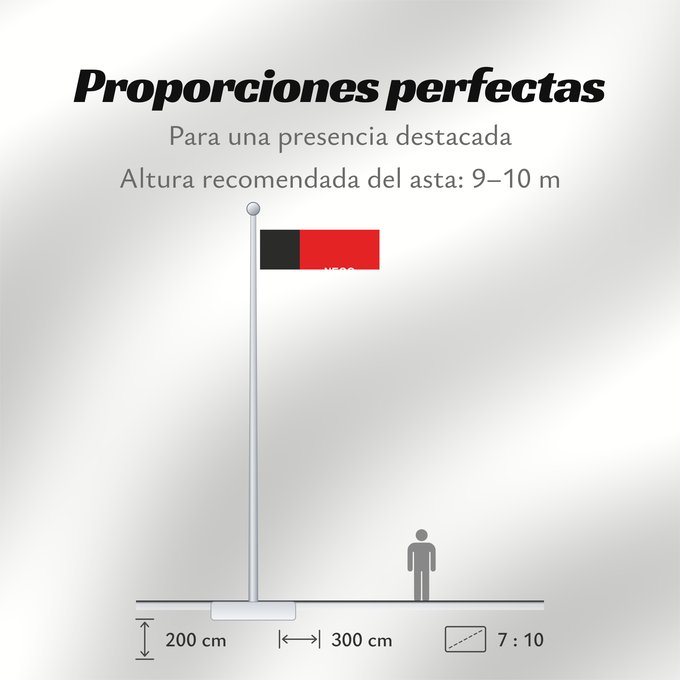 Proporciones de la bandera: Paraíba