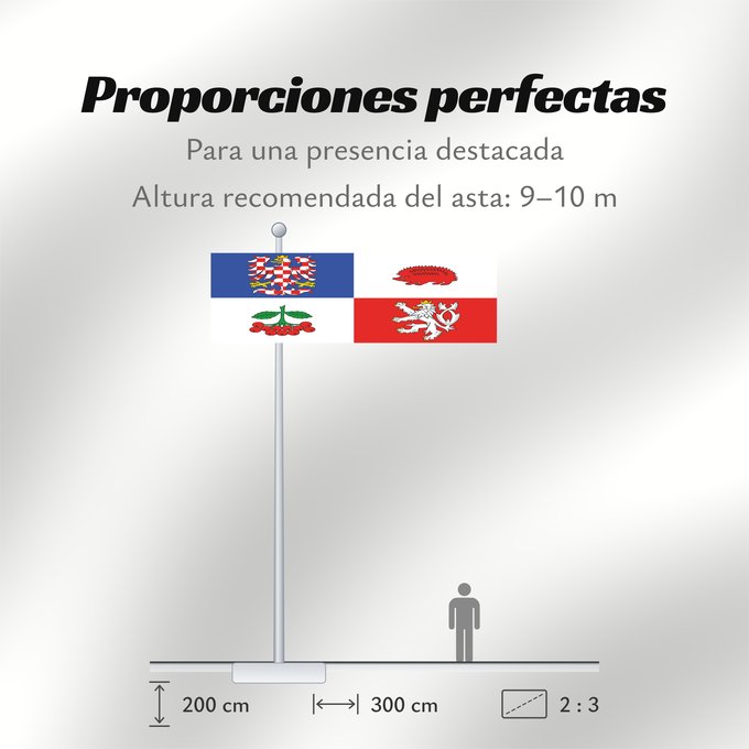 Proporciones de la bandera: Vysocina Region	Vysočina Region	Région de Vysočina	Región de Vysočina	Region Vysočina