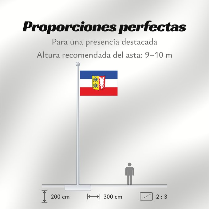 Proporciones de la bandera: Schleswig-Holstein
