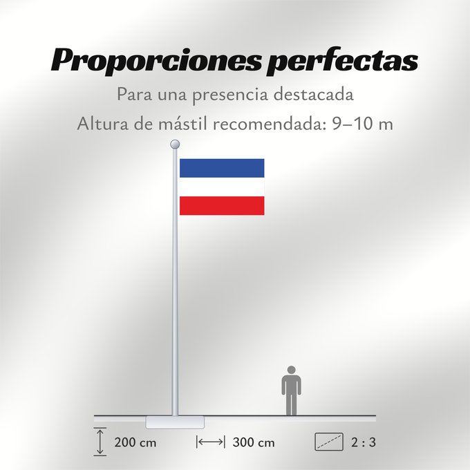 Proporciones de la bandera: Schleswig-Holstein