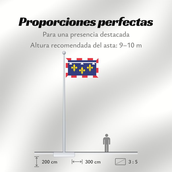 Proporciones de la bandera: Centre-Val de Loire	Unofficial flag of Centre  region  in France	Non-officiel de la région Centre-Val de Loire en France	Centro	Centre	Banniel anofisiel Kreiz-Traoñ al Liger e Frañs