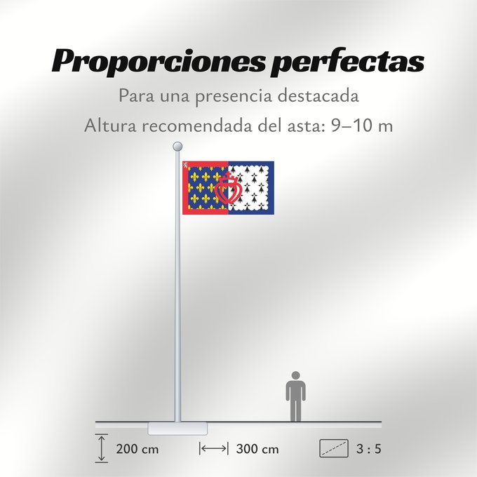 Proporciones de la bandera: Unofficial flag of Pays-de-la-Loire	Unofficial flag of the region Pays-de-la-Loire in France	Non officiel de la région Pays-de-la-Loire	Países del Loira	Pays de la Loire	Los Païses de Léger