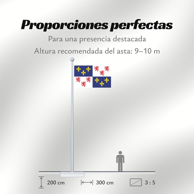 Proporciones de la bandera: Picardie	Region Picardie in France	Région Picardie en France	Picardo	Picard