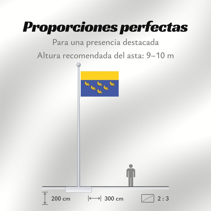 Proporciones de la bandera: West Sussex